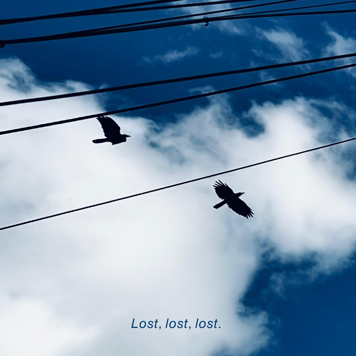 . (@dotinglyricism) on Twitter photo 
