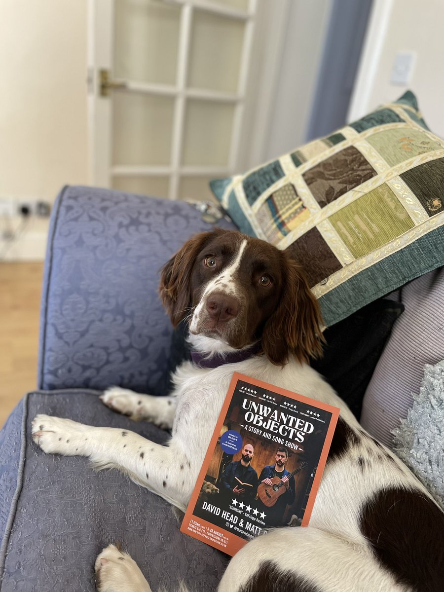 TheDavidandMatt's tweet photo. We have a new flyering technique… #edfringe #dogsofedinburgh https://t.co/wJNNRdSrbC