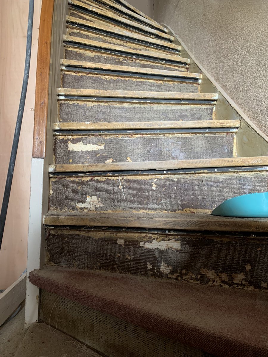 Nét wanneer je na meer dan 2 uur worstelen met een tapijt met verlatingsangst
tevreden constateert dat je nog maar één trede te gaan hebt…

loopt zoonlief langs
stopt en kijkt
“ben je nou nóg niet klaar?”

😳🤨
#CrashAndBurn