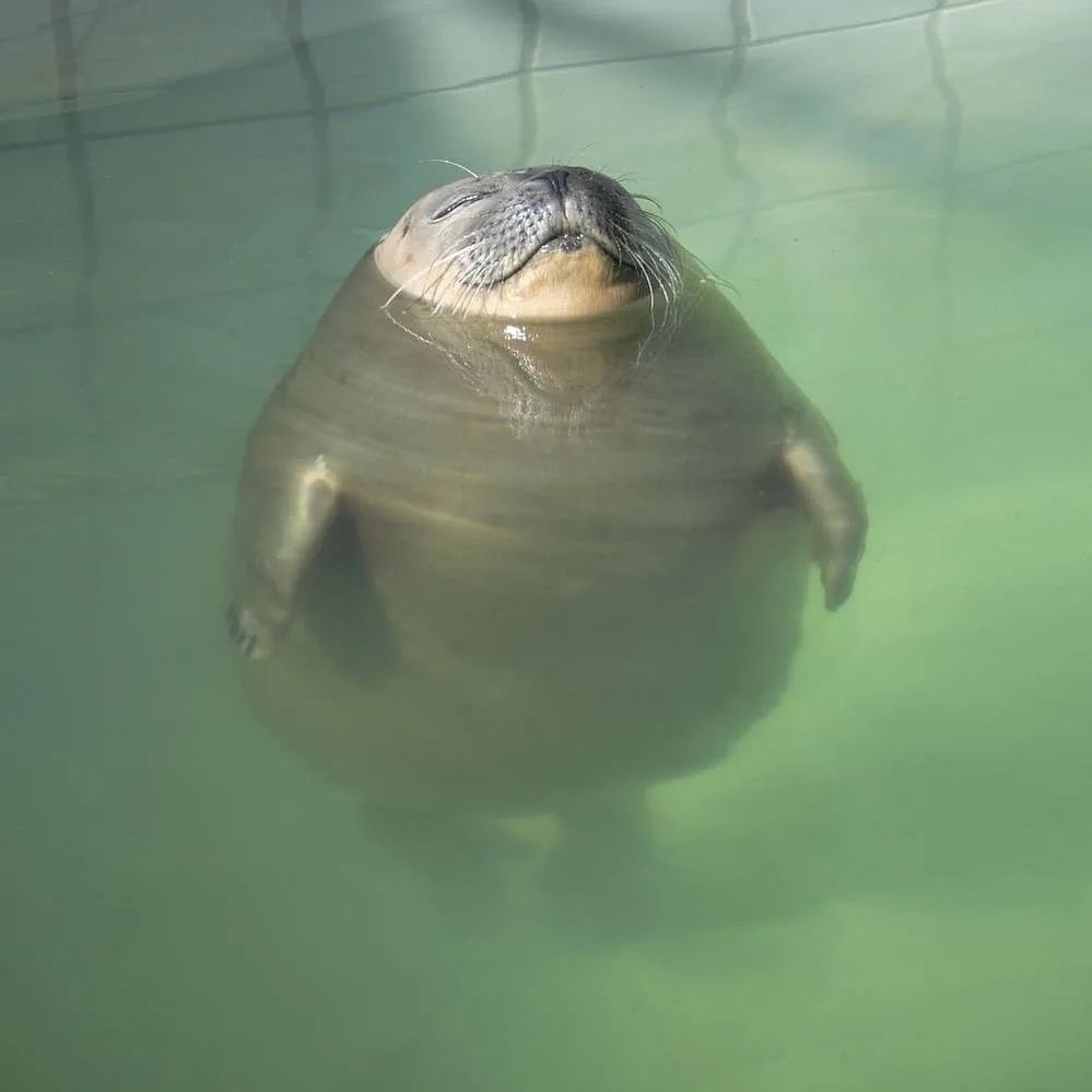 Actual footage of me after I get my iced matcha in the morning