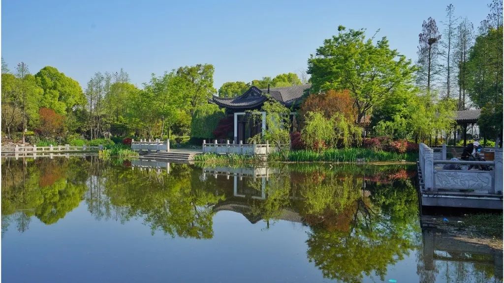 GoJiangsu's tweet photo. Tangpinghu Wetland in #Wuxi, #Jiangsu is one of the top ten wetlands in the city, covering an area of 117 hectares. Why not pay a visit to the park and capture some amazing moments!? #TravelInJS https://t.co/qEYctYSbfN