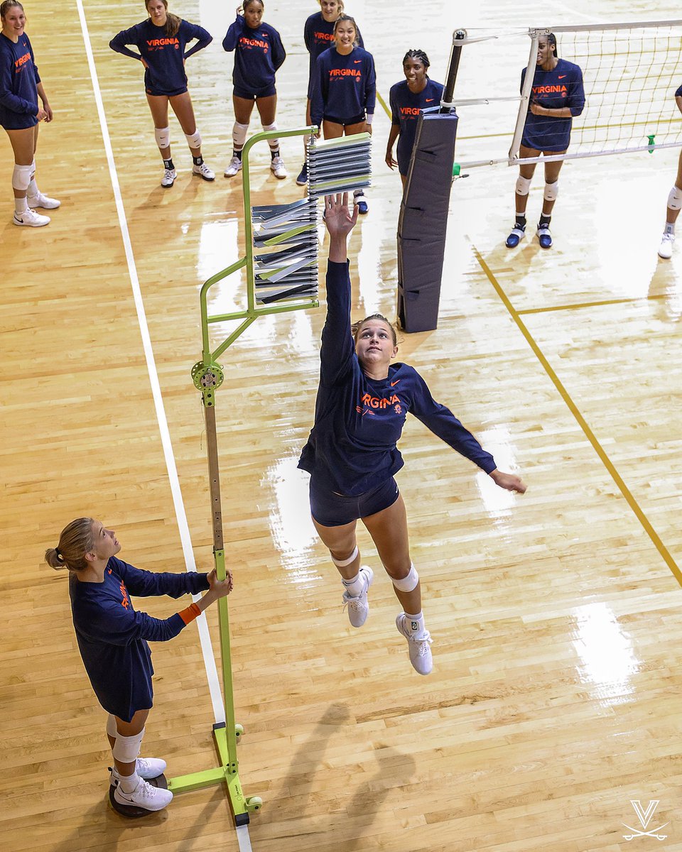 NCAA Women's Volleyball tweet media
