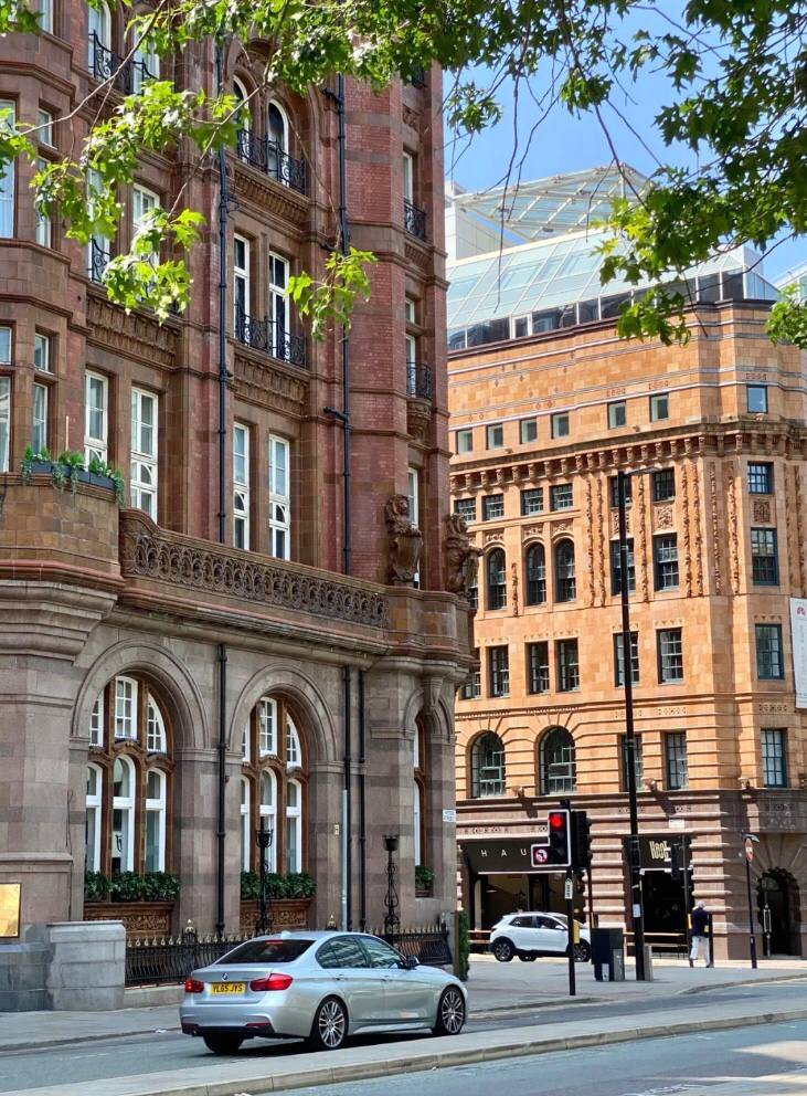 ChadSingleton16's tweet image. The most important factor for success is to have a healthy body and a lot of energy.