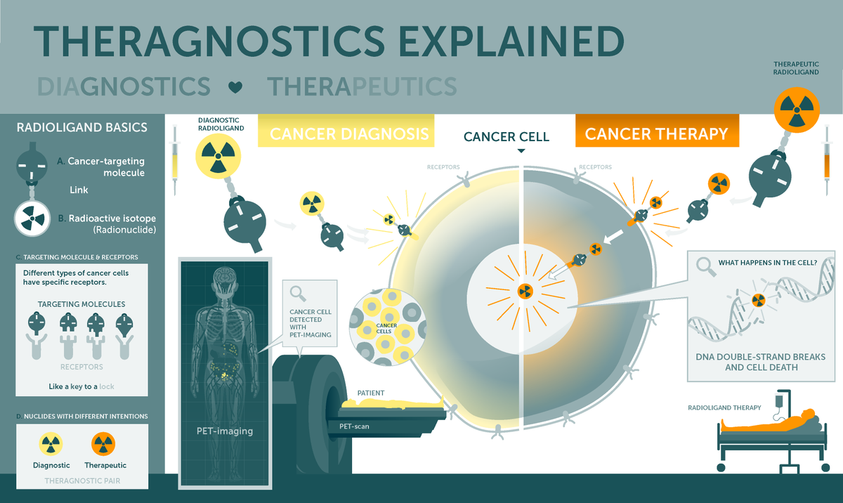 Are you interested to learn about theragnostics in cancer diagnosis and therapy? Check out our new infographic and article about the basic principles of theragnostics in cancer care! #treatwhatyousee #theragnostics #radiopharmaceuticals