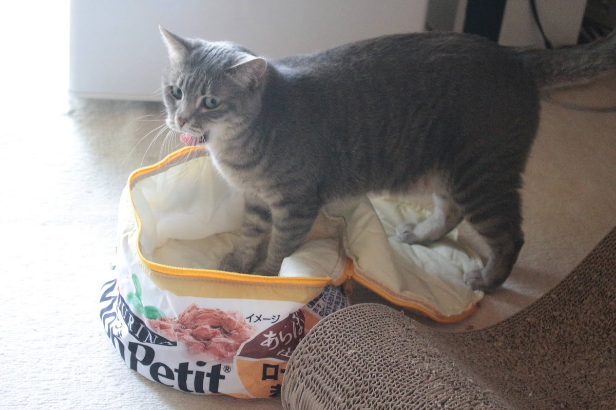 めわ Sueko425 Twitter