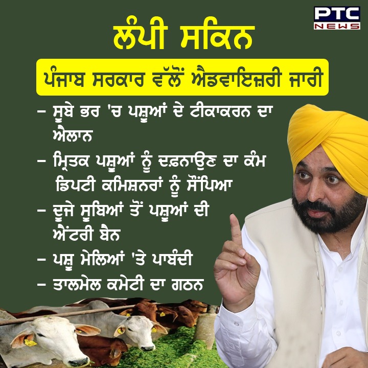 ptcnews's tweet image. ਲੰਪੀ ਸਕਿਨ ਨੂੰ ਲੈ ਕੇ ਪੰਜਾਬ ਸਰਕਾਰ ਵੱਲੋਂ ਐਡਵਾਇਜ਼ਰੀ ਜਾਰੀ
#LumpySkininCattles #PunjabGovt #LumpySkin #LumpySkinVaccination #LumpySkinAdvisory #PunjabNews