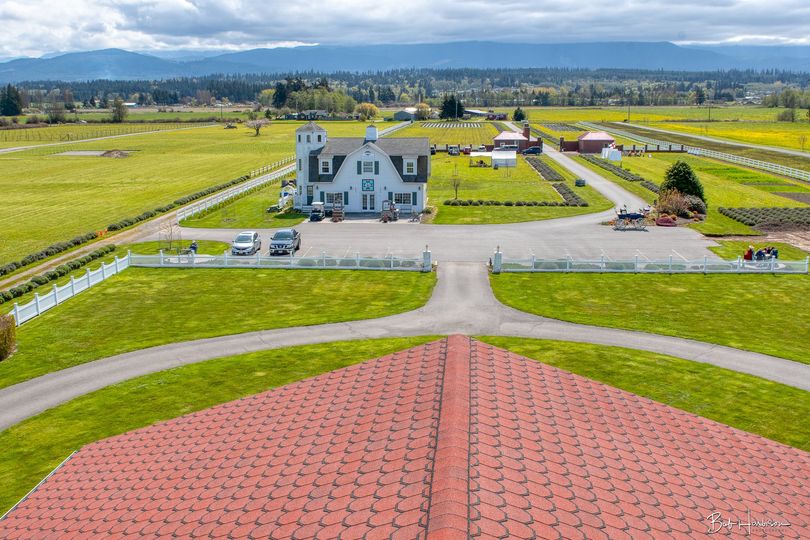 WashingtonInn's tweet photo. Ever wonder what the view from the cupola is like? (Photo credit: Bob Harbison) https://t.co/MFK9u4mx18