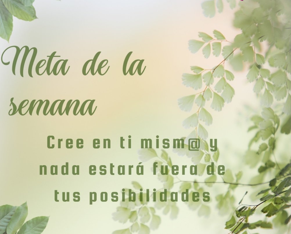 caipyqueen's tweet photo. ✨Feliz y bendecido miércoles para todos en la comunidad Bee✨
@Crypto_Swarm @SBU_DAO_Espanol
#Web3
#Sbuda
#NFT https://t.co/HApqsykiNn