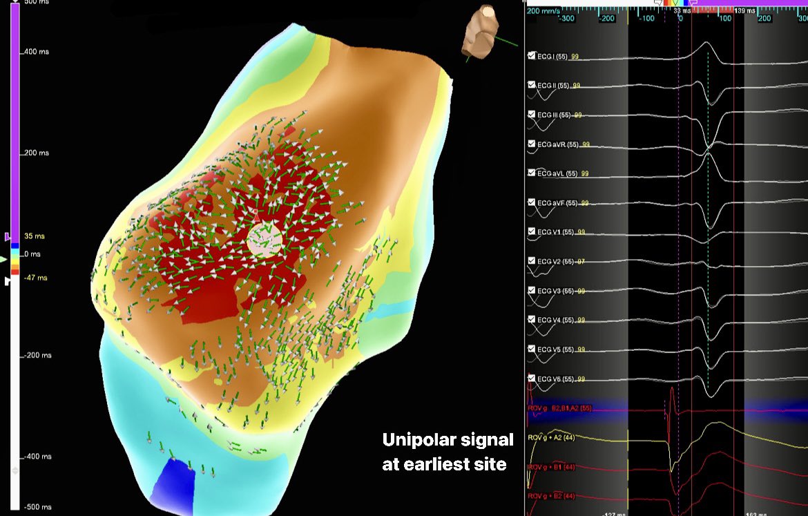 Margo Shemaria tweet media
