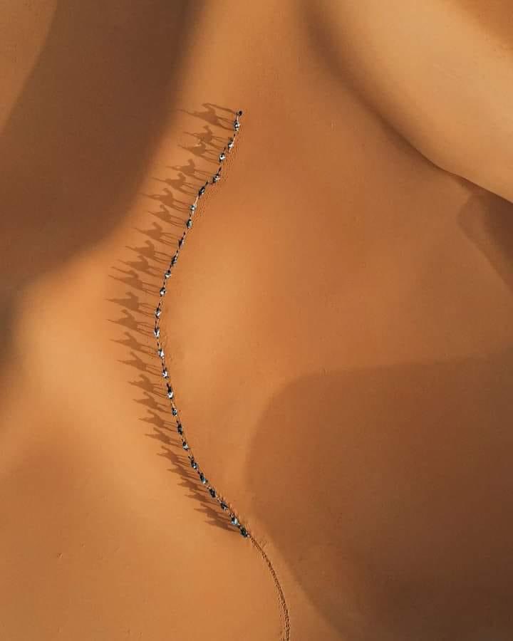 Хонгорын элсэнд ийм зураг аваач зурагчидаа… энэ зургийг … цөлд авсан гэнээ.