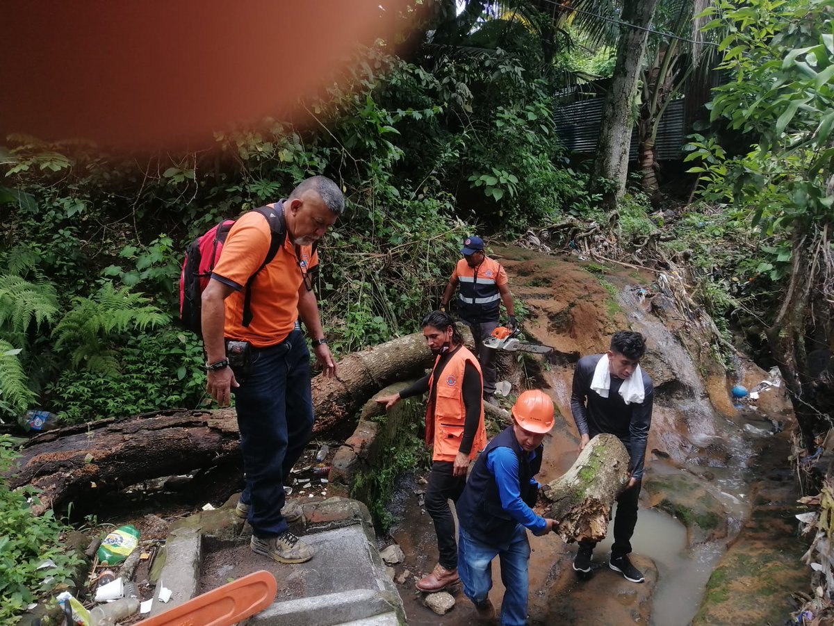 El día de ayer protección civil municipal intervino un árbol en la San Juan Bosco 2, ya que con las lluvias que han caído en el municipio este colapso.

Se hace el llamado a la población a estar atentas a las recomendaciones de Protección Civil en caso de lluvias de gran magnitud