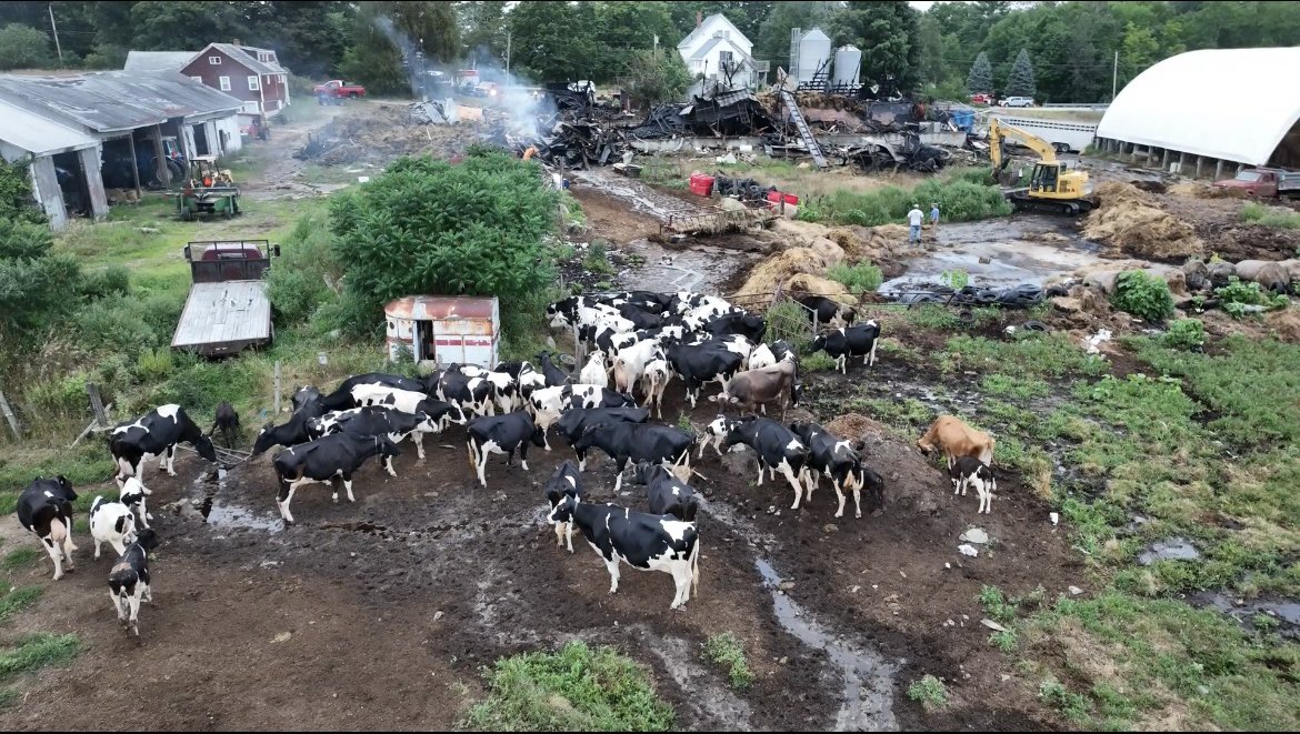 AdrianaSanxhez's tweet image. Some still images of the drone footage our photographer @JohannaSeal took this morning of the Flaggy Meadow Farm. 

You can find the drone footage on our web or social 
@WMTWTV 

#drone #fireME #Mainenews