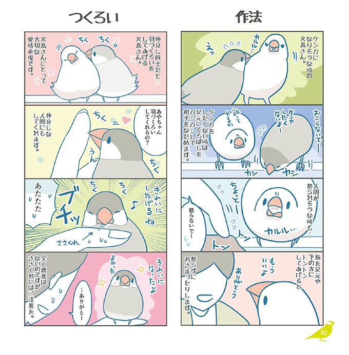 フルカラーの文鳥まんが本、紙の本と電子書籍あります。おかげさまで好評いただけているようで大変嬉しいです。ありがとうございます^v^

紙の本↓
https://t.co/8tuPIeyToA

電子書籍↓
https://t.co/5Ztr1l3O1u

#buncho #文鳥 