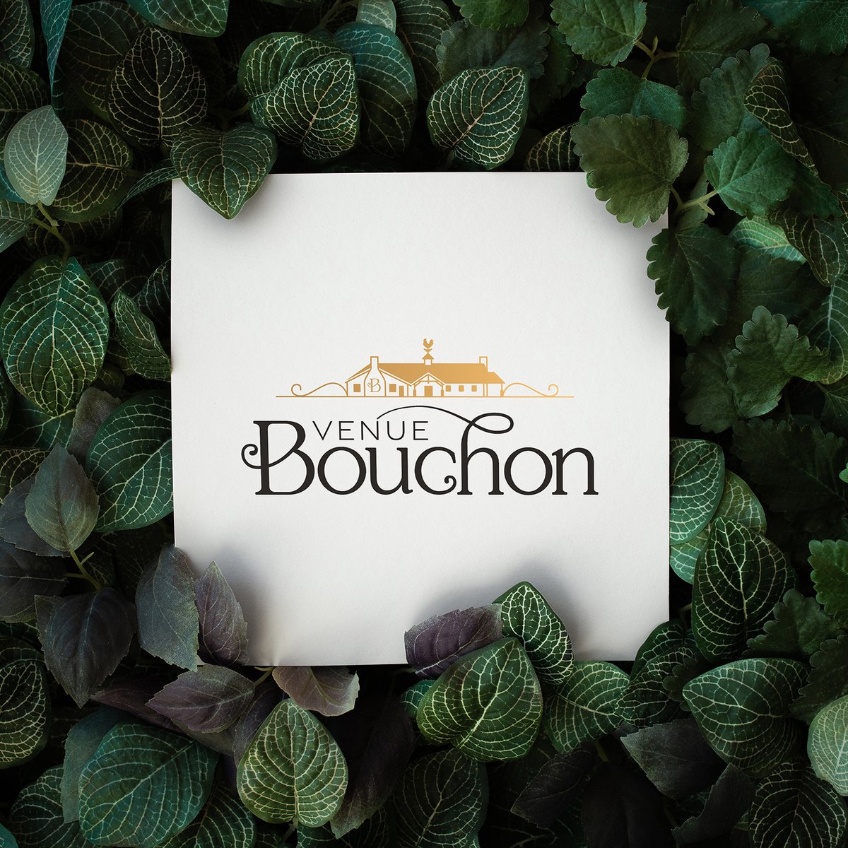ArachnidWorks's tweet photo. We love the way this final logo for Venue Bouchon turned out and can't wait to help grow their brand.
.
.
#WeAreAW #ArachnidWorks #DigitalMarketing #WebsiteDesign #SEO #SocialMediaManagement #GraphicDesign #FrederickMD https://t.co/wXXIYnwisB