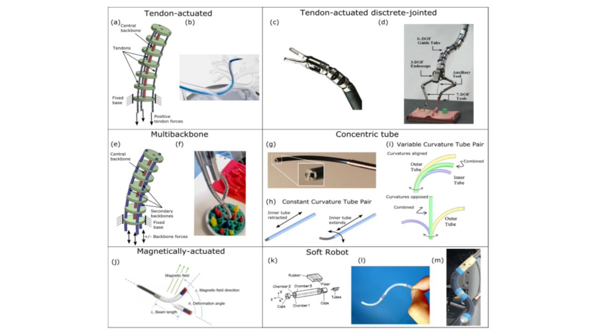 VanderbiltENT's tweet image. *In an article published by @IEEEorg, Pierre Dupont, Nabil Simaan, Howie Choset (@howiechoset) & Caleb Rucker explain the design and use of continuum robots in relation to clinical applications. #MedicalRobot #ContinuumRobot #Innovation ieeexplore.ieee.org/stamp/stamp.js…