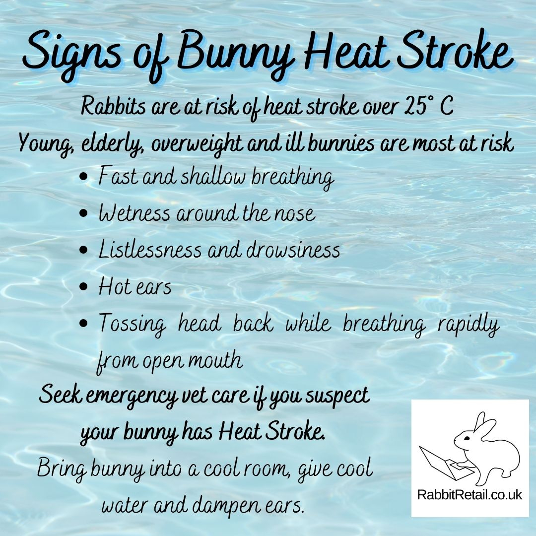 RabbitRetailUK's tweet image. Stay Cool 😎 with temperates predicted to hit 35C in the UK this weekend, I thought it would be a good time to share our blog post about keeping bunnies cool. 

Also, the SnuggleSafe CoolPods are still 10% off, and they will have free next shipping so they can get to your bunni