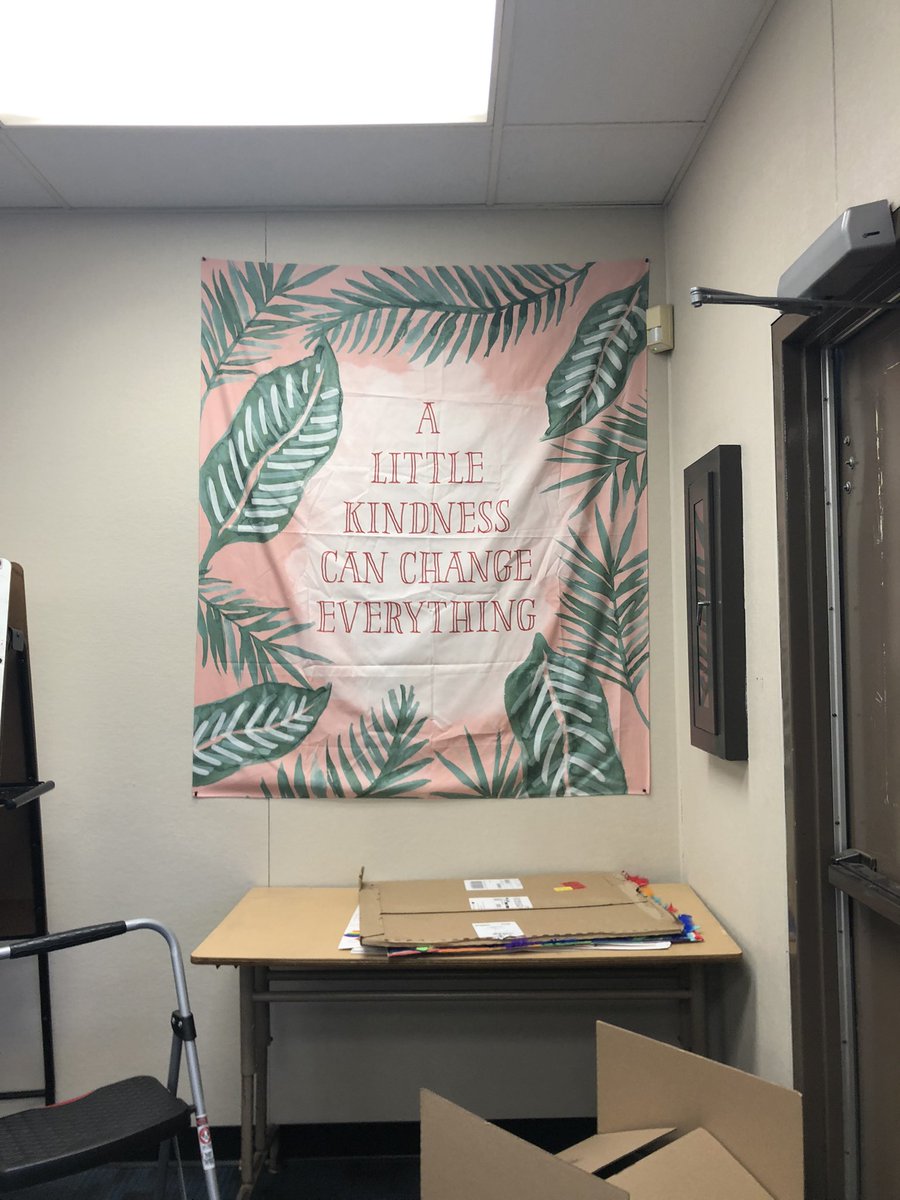 Katelyn Moreno 🍎 tweet media