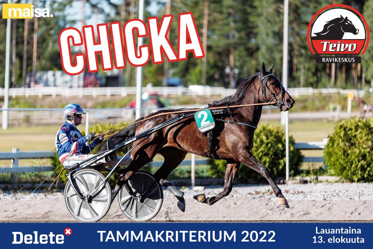 6 CHICKA
Kasvattaja: Jonna Irri &amp; Taneli Säde
Omistaja: Jonna Irri &amp; Taneli Säde
Valmentaja: Jonna Irri
Hoitaja: Taneli Säde
Ohjastaja: Olli Koivunen