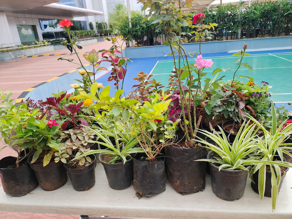 Pradipta07815's tweet photo. #tcs #BFSI US E Bangalore #SadhanaSamarpan2022 Enthusiastic Participation in Session on "Increasing Urban Green Cover" along with Plantation In TCS Campus and Sapling Distribution.
@AnupamSinghal5 @MuduliJJ @yogini_s_d @sudeep_mazumdar @SadiqAliSyed2 @KhanSanchari
 @aasha2015 https://t.co/hMQzirP2Z7