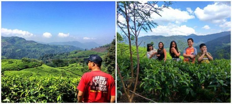 sultan_lim's tweet photo. #outboundbandung
#outboundbogor
#outboundgarut
#outboundanyer
#wisatabandung
#wisatayogya
#wisataAnyer
#wisataBali
#wisataBogor
#wisatapangandaran
https://t.co/H38ness7XX https://t.co/kMybb5ETdM