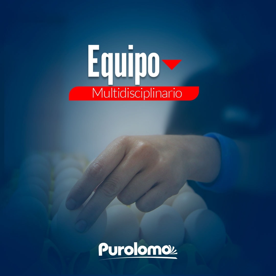 Nuestro equipo se encarga de cuidar los procesos en cada una de nuestras líneas de producción; para que en la mesa de los venezolanos, lleguen productos con alto valor proteico y el sabor más especial de Purolomo. ¡Del campo a la mesa! 👐🏻❤️