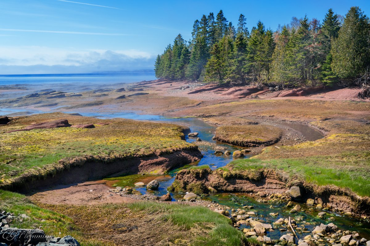 cgflemming's tweet photo. A sunny Pottery Creek. https://t.co/amKX08SxM8