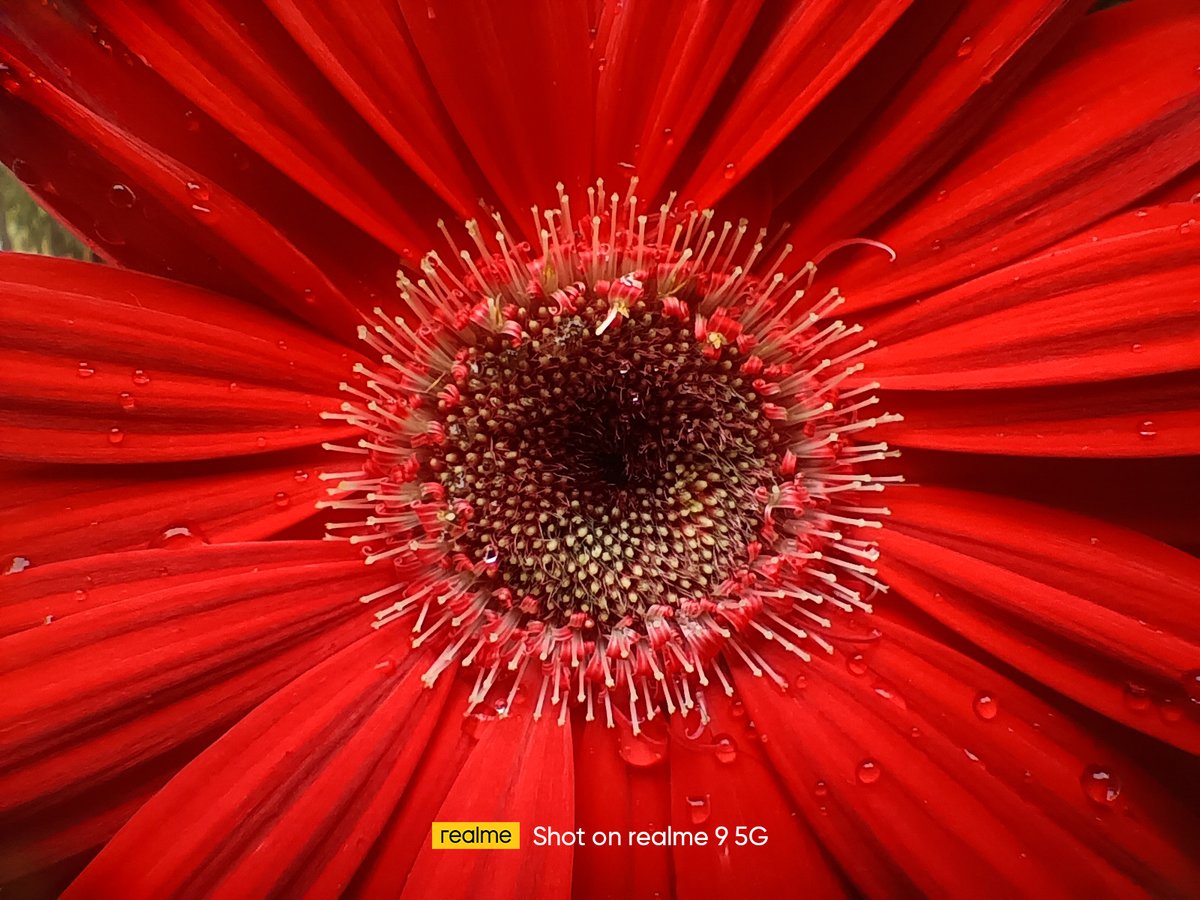 realmeIndia's tweet photo. An eye for details!

#shotonrealme #realme9 5G #SpeedOfLight https://t.co/OwwMhx8ujr