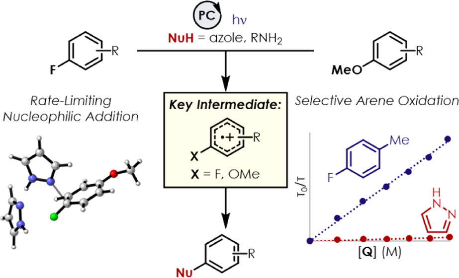 Check out our newest paper looking into the Mechanism of Aminiation of Unactivated Alkenes via Cation Radical Accelerated SnAr! Congrats Vince!
pubs.acs.org/doi/full/10.10…