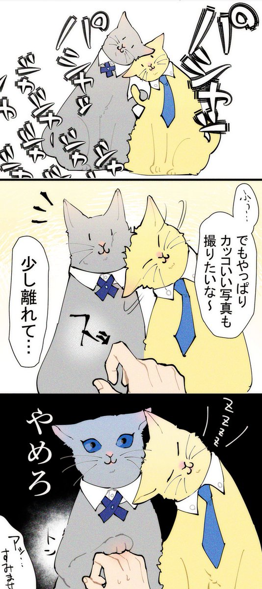 猫ちゃん!ちょぎくに! 