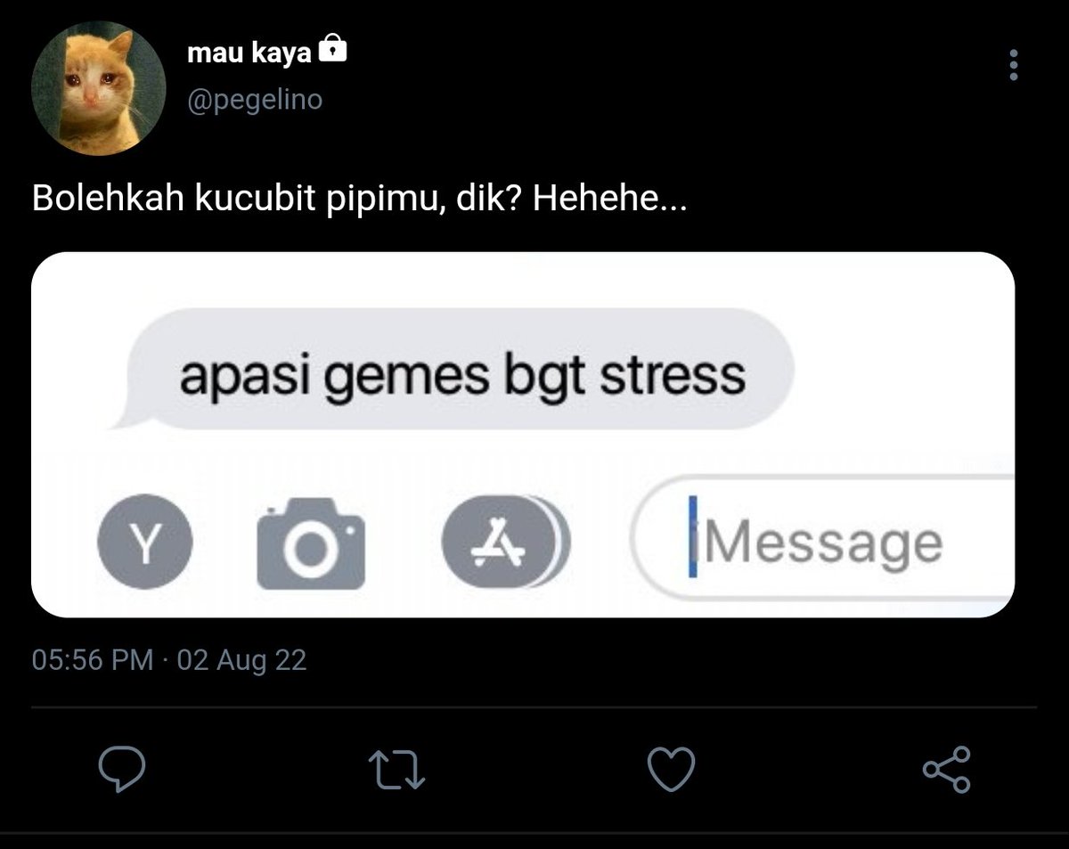 americanojhowa's tweet image. ▪︎ 70
salah terus atau lucu terus?