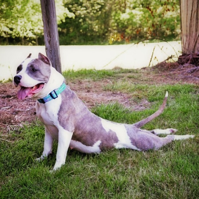 Us: "Why does my back hurt all the time?"
Our posture: