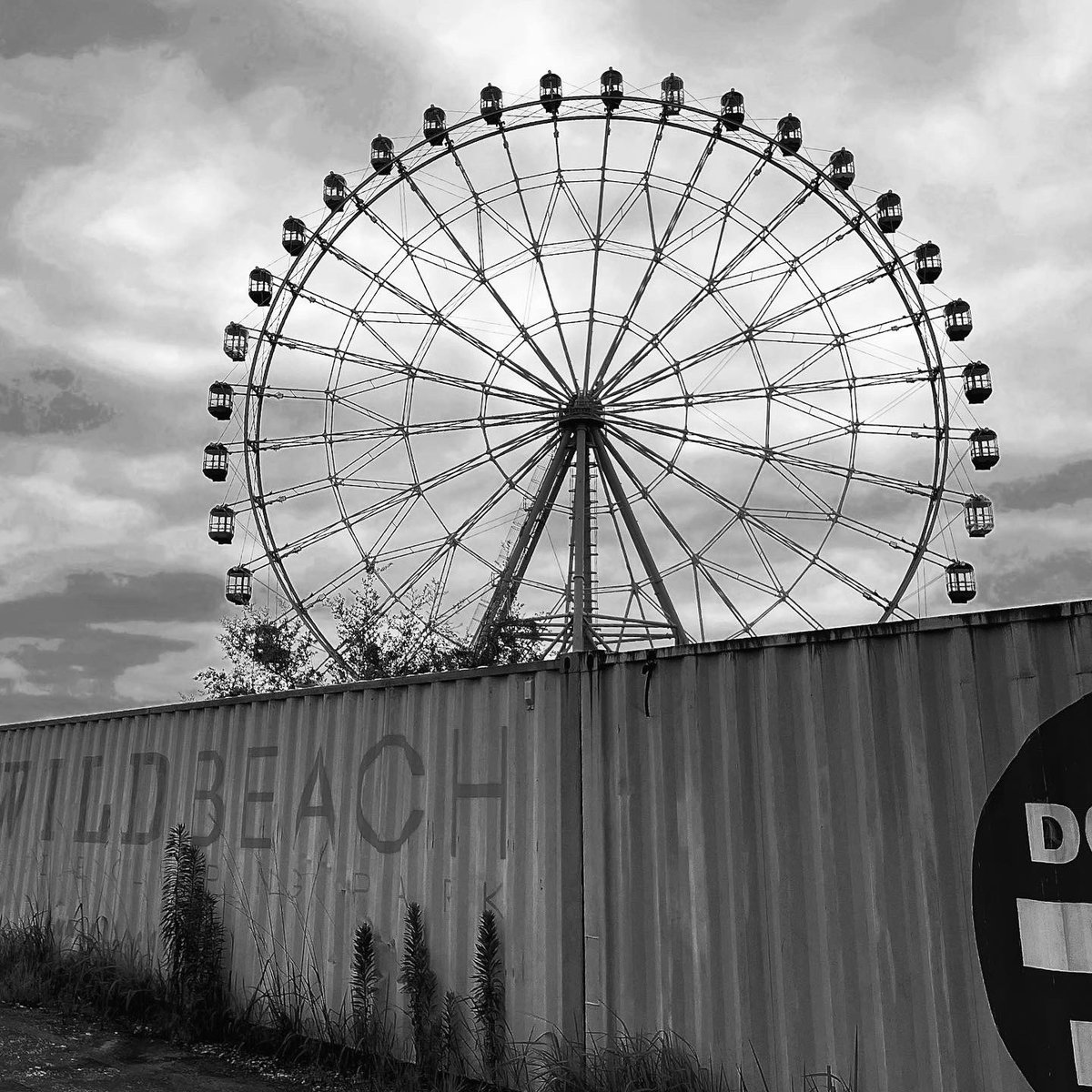 alale_graffiti's tweet image. 今日は #バイオの日 ‍🧟‍♀️🧟‍♀️🧟‍♀️ この前 #ゾンビごっこ した時の写真がいまいちだったので💔施設のそれらしい写真撮影を🆙あれ？なんか… #バイオ よりも #L4D っぽいかもʕTᴥTʔ  #バイオハザード #BIOHAZARD #REBHFUN #ResidentEvil