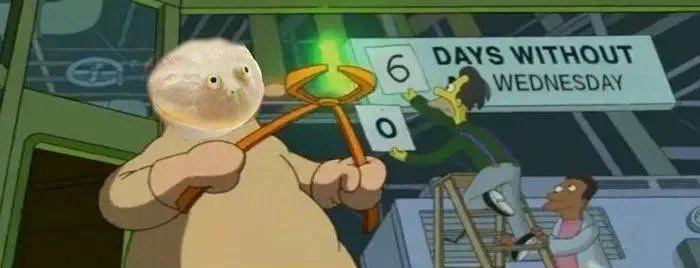 pam_and_bacon's tweet image. 