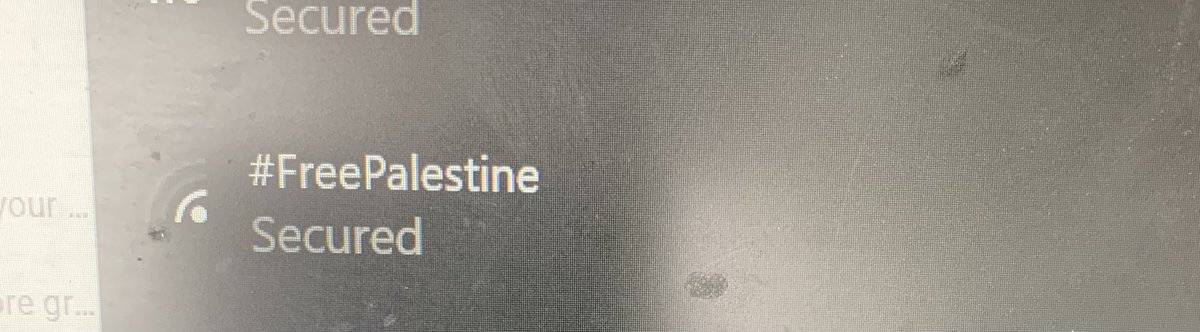 urbanjodi's tweet photo. One of my neighbours in Sea Point is lit #wifinames #FreePalestine https://t.co/bdOxaurmn1