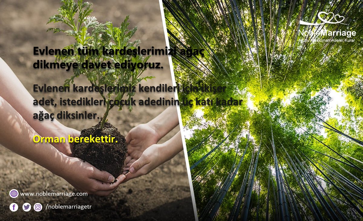 Evlenen tüm kardeşlerimizi ağaç dikmeye davet ediyoruz.
Evlenen kardeşlerimiz kendileri için ikişer adet, istedikleri çocuk adedinin üç katı kadar ağaç diksinler.
Orman berekettir.
noblemarriage.com
#ağaçdikelim #orman #Haram #Helal #İstanbul  #çevrenitemiztut #Kuran