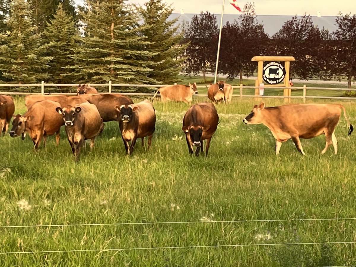 Tietsia Huyzer tweet media