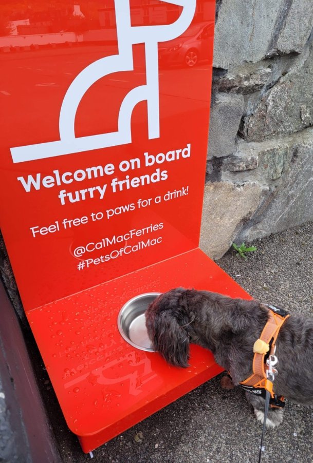 BlairMogliaCFL's tweet photo. Have you seen our pet 'hydration-stations' yet?๐ถ Great for our furry passengers in this hot weather๐. Don't forget to check out our full pet guidance before you travel: https://t.co/lNnbH43Gwa #PetsOfCalMac https://t.co/Ax3Usw7bZj