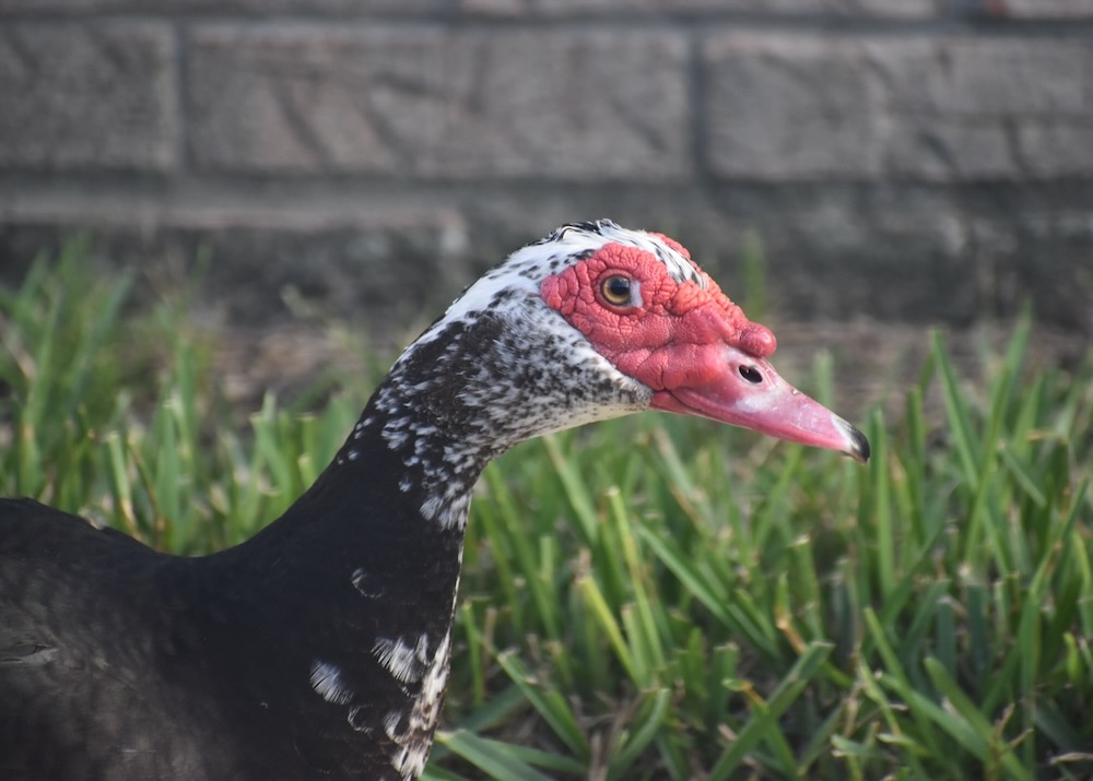 Environment911 tweet media