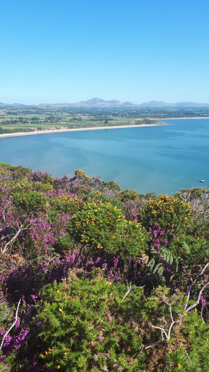 KaterinaPool's tweet image. Stunning day in beautiful Wales 🏴󠁧󠁢󠁷󠁬󠁳󠁿#abersoch