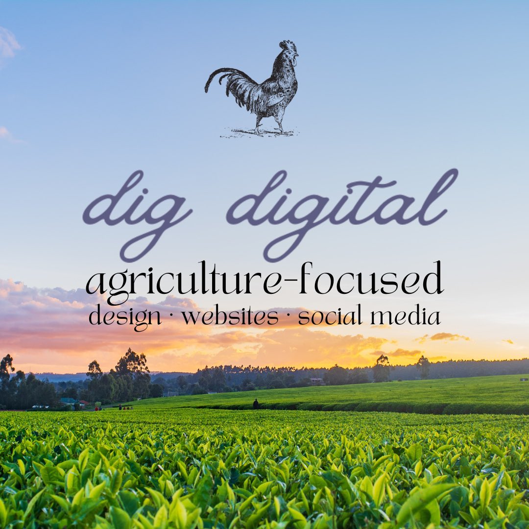 Edible Philly tweet media