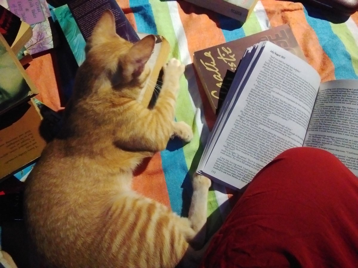 MeghaSpinel's tweet photo. So I got my author copy of @Asimovs_SF but someone won't let me read it. 🐈 https://t.co/144NyPEybN