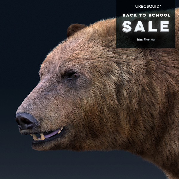 TurboSquid by Shutterstock (TurboSquid) / Twitter