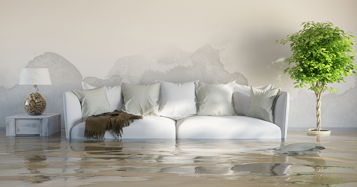 Thinking of getting your carpets professionally cleaned? To help you in your planning our latest blog takes a look at the benefits of each method and how long they take to leave your floors completely dry cleantecinnovation.com/News/429-/How-… #CarpetCleaning