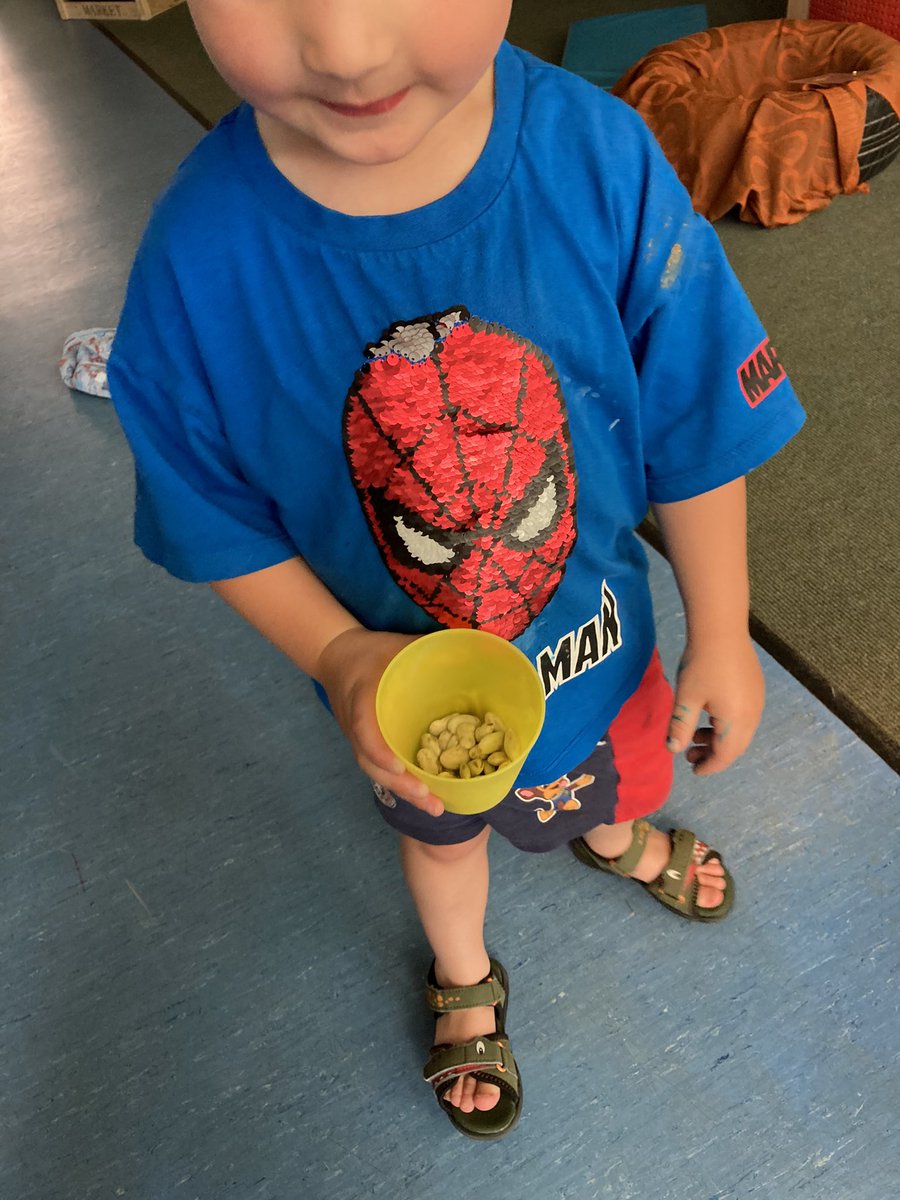 K was so excited to see the beans that have come from the beanstalk. It has been such a talking point and so exciting for the children to watch it grow over the past few weeks! <a href="/SarahFilPortico/">Sarah Fillingham</a> <a href="/Portico_Nursery/">PorticoNurseryGroup</a> <a href="/PorticoNicole/">Nicole Politis</a> <a href="/NDNAtalk/">NDNA</a>
