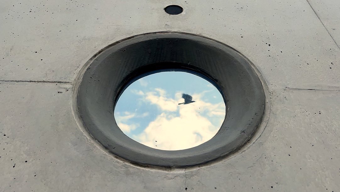 ksyyuan's tweet photo. Tropical biophilic amphitheatre with concrete portholes - Design Orchard #architecture #photography https://t.co/pf5oqR1whl
