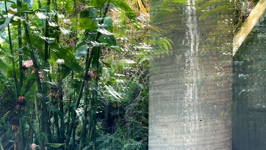 ksyyuan's tweet photo. Tropical biophilic amphitheatre with concrete portholes - Design Orchard #architecture #photography https://t.co/pf5oqR1whl