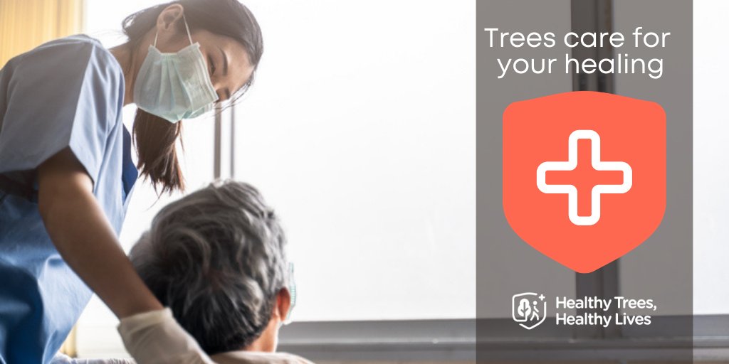 TXForestService's tweet photo. Being able to see trees while recovering from surgery – as through a hospital window – increases a patient's pain thresholds, requiring less pain relievers and shortening recovery time. #HealthyTreesHealthyLives https://t.co/Y0C3o9FkVb