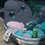 今ならお買い得？熱帯夜でも快適な眠りを保証するポケモン。