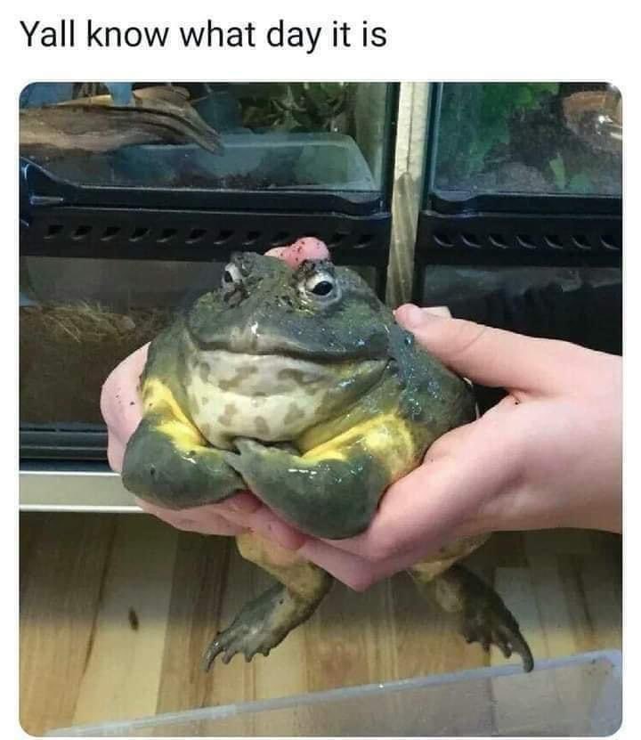 Tappy ᵐᶠᵉʳ | BGANMFER makerᵐᶠᵉʳ tweet media