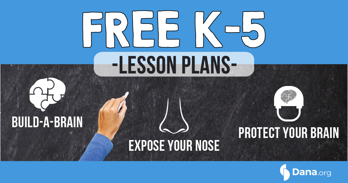 dana_fdn's tweet photo. Teachers! Our fact sheets for K-12 provide an excellent introduction to brain science. Organized by grade level, they cover how the brain works, the senses, brain development, how exercise affects the brain, addiction, and more.  https://t.co/SRNDMdx5JQ #STEMeducation #scichat https://t.co/nli1vhRGDx